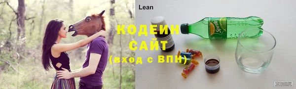 дживик Козельск