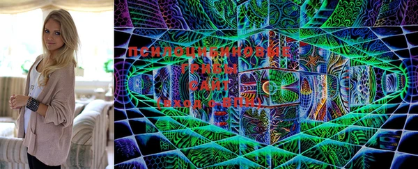 кокс Козловка