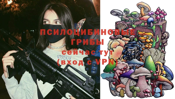 альфа пвп Краснослободск